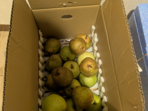 ラスト1箱2種盛！お試しラフランス3キロ＋訳あり王林3キロ　合計6キロ以上。　農薬半減栽培で安心安全