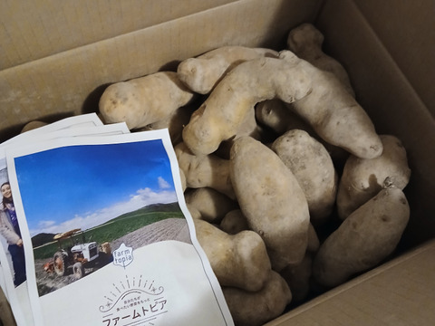 【訳あり】北海道産メークイン10キロ