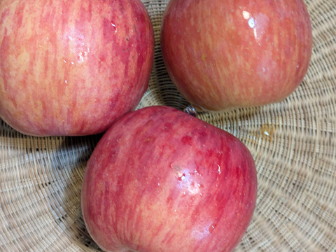 りんご　サンふじ　約６８％農薬カット　20-23個　約6キロ　小玉多め　キズ等、黒点できるだけ無いりんご 　天然冷蔵庫で冬越したもの。かなり鮮度落ちてます。