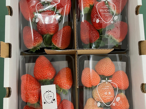 2~3月限定！3種のいちご食べ比べ大粒セット4p入り