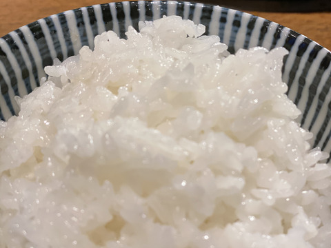 【　丹波篠山産　コシヒカリ米　お米】冷めても美味しい！！炊き立ての香りがたまんない( ¤̴̶̷̤́ ‧̫̮ ¤̴̶̷̤̀ )　5キロ