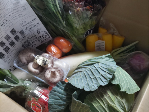 【たくあん2個入】畑より採りたて直送！野菜セット Ｂ（8品）