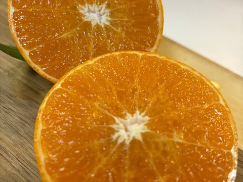 甘さ際立つ、冬のごほうび柑橘【津の輝き】2ｋｇ