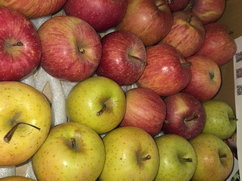 葉とらずりんご食べ比べ🍎🍏丸かじりにぴったりの小玉サイズ2種4kg 低農薬で皮ごと安心✨青森県特別栽培認証　訳ありご家庭用