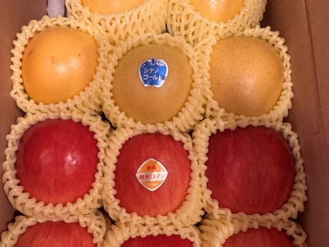 まるごとガブリっ！奥州ロマン入り☆小玉・食べきりサイズMIXりんご岩手江刺産２㎏