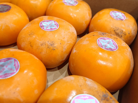 【ご予約】家庭用 糖度に自信！刀根早生柿誕生の地より直送 たねなし柿  SDG.s 2L～L　12玉入りです。たくさんの方に味わっていただきたくて企画しました。