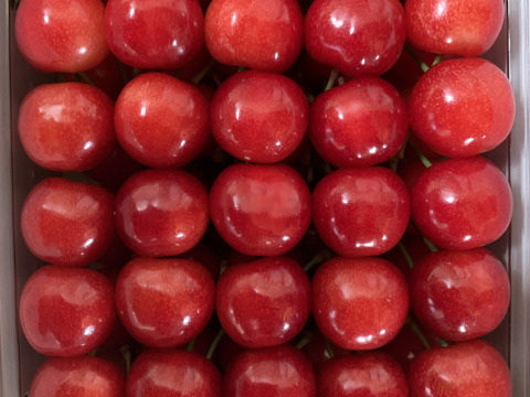 【贈答、プレゼント用】数量限定‼︎手詰め‼︎佐藤錦発祥の地。山形県東根産佐藤錦