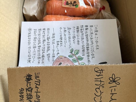 【3種食べ比べ・5kg】南国高知のサツマイモ