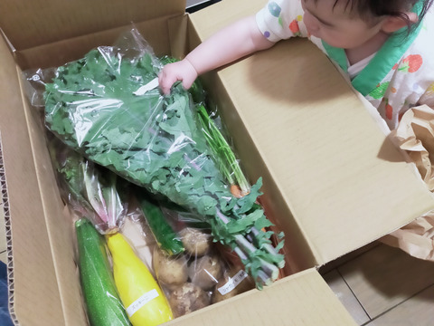希少な自然栽培の野菜ボックス【Ｍサイズ】