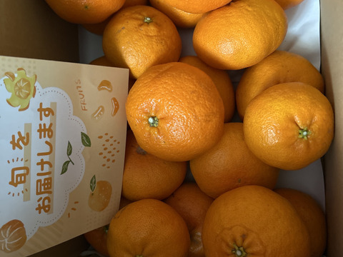 《豊作割引》【家庭用】甘平 5kg ギッシリ果肉のシャキシャキ食感♡愛媛限定高級柑橘♫愛媛みかん！！