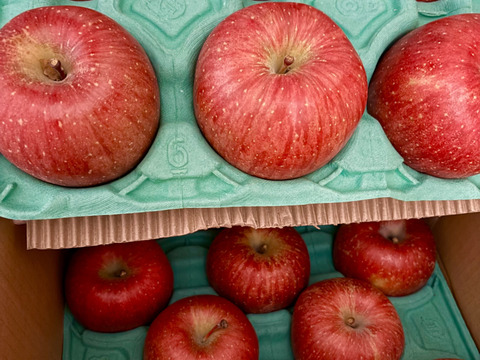 大玉から順に発送‼️とことん味にこだわりました💪😊🍎青森県産葉取らず完熟ふじ約6kg‼️