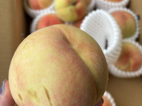 桃🍑　訳あり　3kg