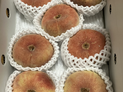 滋功裕様　御注文のお品桃 飛騨高山・岐阜県高山市】不老長寿の伝説をもつ幻の桃「蟠桃