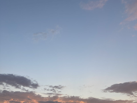 もっちり！ふっくら！粒が大きい！こだわりの新米つきあかり玄米10キロ令和6年産三重県産