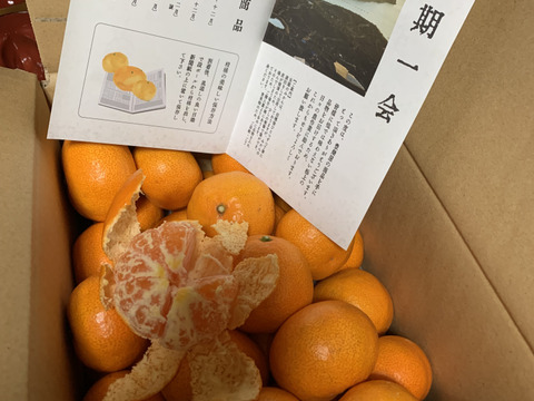 【最高級】真穴（まあな）産地直送　極上みかん　S〜Lサイズ　3キロ　贈答
【冬ギフト】