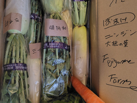 【予約販売】赤城の「冬大根セット」７本※群馬県特別農産物認証基準準拠