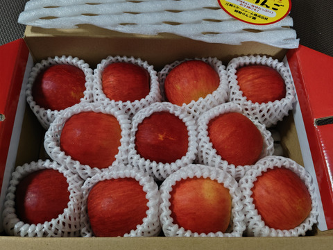 まるごとガブリっ！奥州ロマン☆小玉・食べきりサイズりんご【岩手江刺産】2㎏