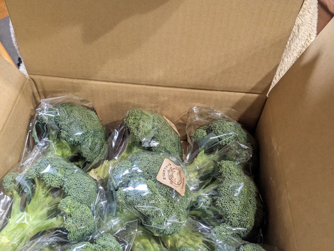 筋肉もりもり！ブロッコリー