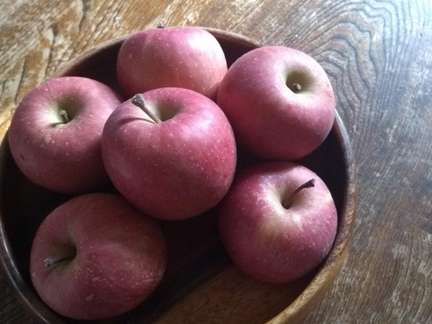 小玉のりんご🍎小さくてもお日様たっぷり浴びた葉とらずサンふじ：長野