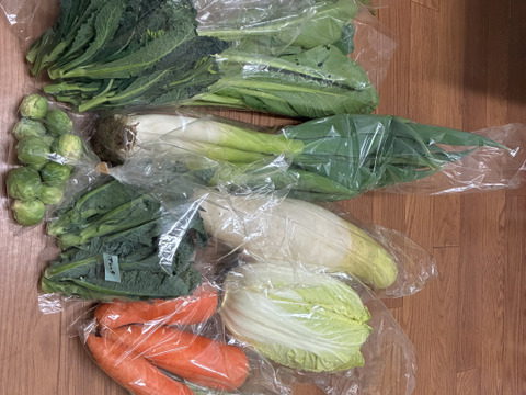 旬の露地野菜セット(9～10品)