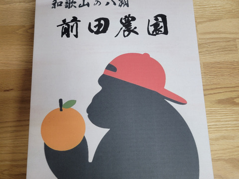 【ゲン担ぎ福袋】贈答用ゴリラバージョン【特別栽培】和歌山県産　(特選)八朔(8個入り)