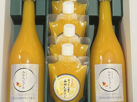 みかん満喫ギフト（みかんジュース2本＆ゼリー4個）