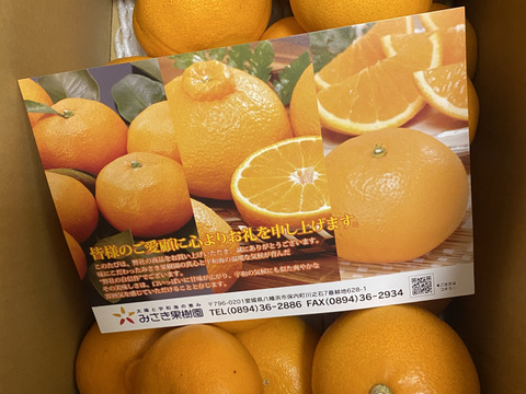 柑橘の大トロ　せとか（訳あり5㎏）