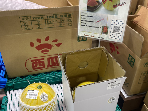 [6/26締切]高糖度でシャリっと美味しい。種はほとんどありません。薄皮で皮際まで美味しい金色に輝く金福すいか-福井市特産品- L玉1個