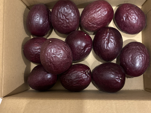 【ご家庭用】日本最後の秘境トカラ列島から旬をお届けします！ 完熟パッションフルーツ 1.5kg（15〜25玉）