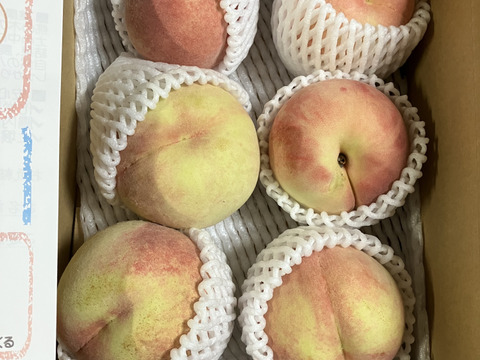 【桃の予約】"川中島白桃"2ｋｇ（6～9玉）福島の完熟もも　ギフト・贈答用に【8月中旬～下旬お届け予定】