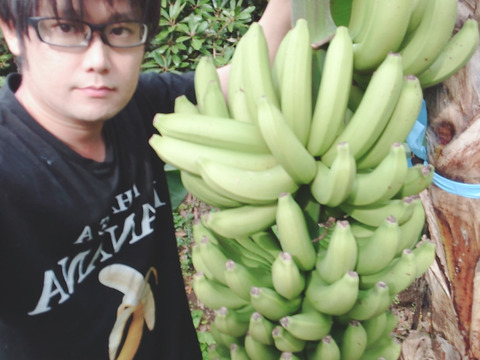 【お試し】国産バナナ プチサイズ1.8kgと安納芋2Sサイズ2kg【セット】