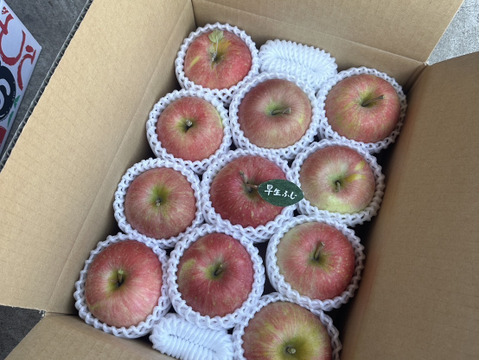 【人気品種】🍎早生ふじ約3キロ🍎8〜12玉《家庭用》ID284719