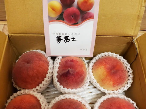7月運命の出会い⁉️【67品種の桃を栽培】品種は何が届くかお楽しみ！白桃1.5㎏