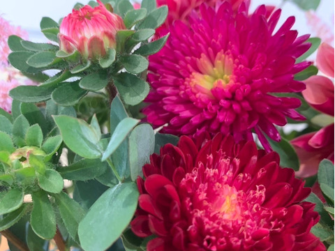 【日光園藝オリジナル】アスターと季節のお花アレンジメント