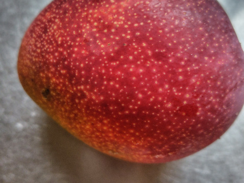 国産アップルマンゴー　家庭用　
3玉から5玉