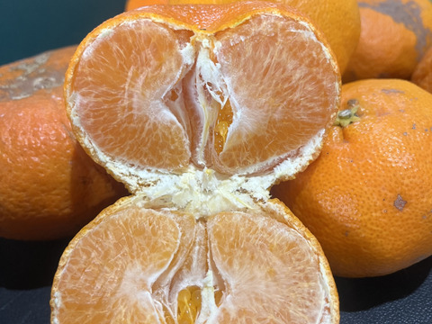 愛媛県産 訳あり甘平3kg