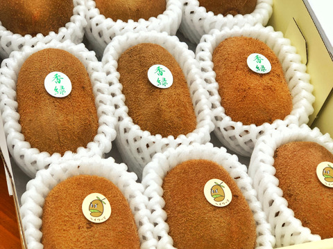 【人気No.1!!】”おまかせ3種キウイセット”この道50年！プロキウイ農家おすすめ季節限定3品種が入るお任せキウイセット【熨斗対応可】9個前後入り(M3)