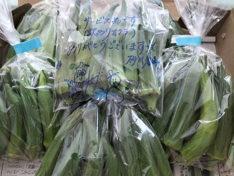 訳あり‼️石垣島産オクラ⭐️約70本