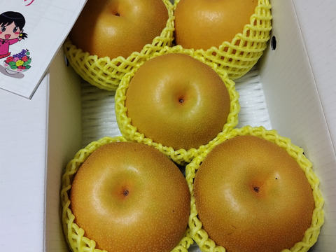 まるせい果樹園の梨【おまかせ】2kg箱　(5～12玉入り)　n1