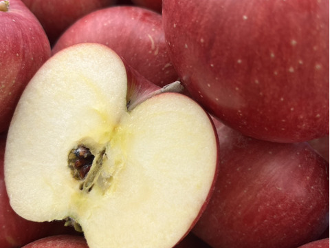 【短期間販売】甘さたっぷり！シナノスイート　3kg