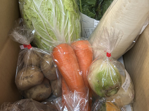 ♪人気商品♪『農薬、化学肥料不使用』【2~3人前】
季節の野菜Sセット（8-9品）「群馬県高崎産」