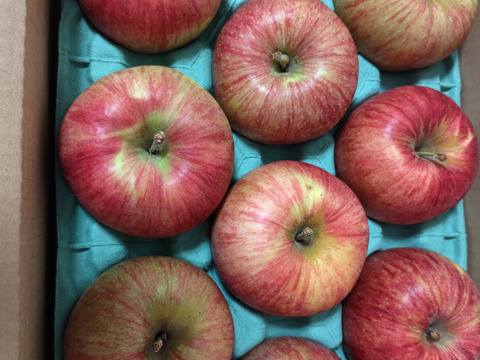 残り30ケース🍎🏃‍♀️サンつがる 3キロ箱 6玉〜15玉サイズ 商品