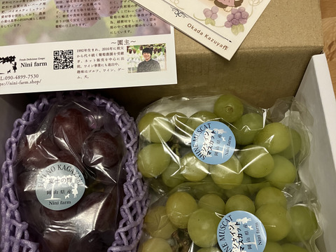 【福袋2025】 限定50セット シャインマスカット+お任せ品種(合計約1.1kg) 4200円相当以上