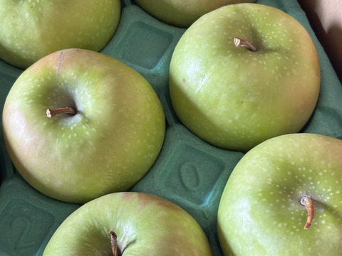 ⚠︎1月7日から発送🍎【訳あり加工用】グラニースミス5キロ箱 訳あり 商品ID17092長野県 信州 安曇野 リンゴ 幻 幻のリンゴ 予約 希少 旬 お菓子作り用 加工用