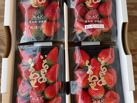 【いちご食べ比べ】すずの薫り、おいCベリーなど★レア品種入り