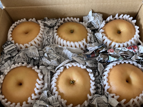 【予約】梨 南水 良品2.2kg 長野県産 大好評‼️