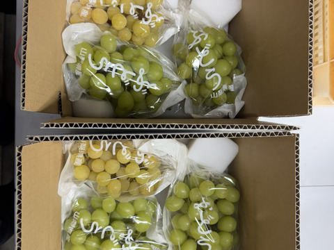 7️⃣ 山梨県産 悟紅玉(ゴルビー) 箱込5.4キロ 数量限定❗️山梨県