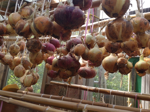 季節限定セット商品【お買い得♪旬の野菜お試しセット】＋【赤紫蘇10本】の組み合わせのお届け☆ゆうパック🏣80サイズにたっぷりお入れいたします☆