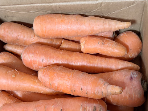 ！！初めてのお客様限定ワンコイン価格！！【有機JAS認証】人参（２．５ｋｇ）