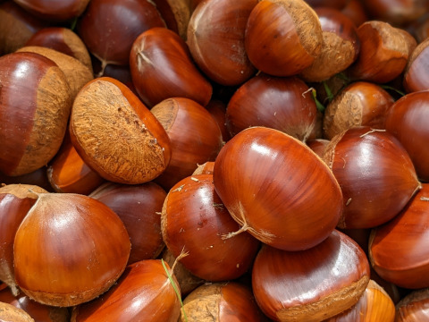 【冬ギフト】栗三昧！むき栗&氷蔵熟成栗